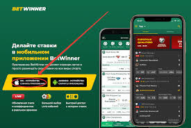 Découvrez le monde des paris en ligne avec Betwinner 1